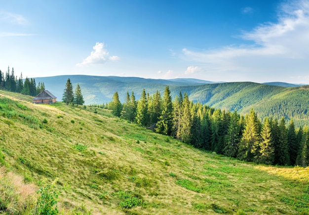 Panorama mit grünen Bergen, Hügeln und Wald