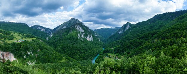 Panorama montaña río Tara turquesa y bosque en las laderas de las montañas en Montenegro T
