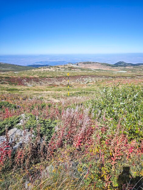 Panorama de la montaña Vitosha cerca del pico Cherni Vrah en Bulgaria