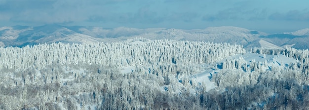 Panorama de las montañas de los Cárpatos de invierno