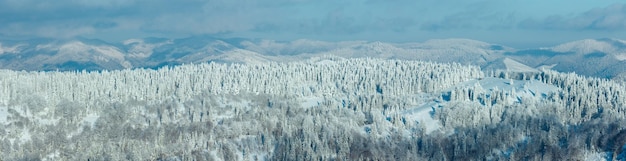 Panorama de las montañas de los Cárpatos de invierno