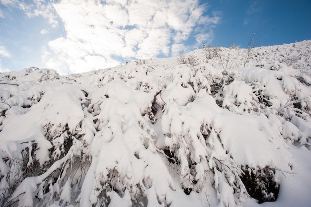 Panorama de montañas nevadas, nieve y nubes en el horizonte