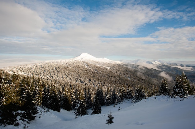 Panorama de montañas nevadas, nieve y nubes en el horizonte