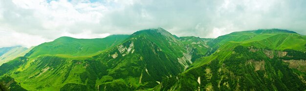 Panorama de montañas verdes