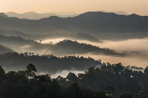 panorama de niebla con cordillera en PanoenThung punto de vista en Kaeng Krachan