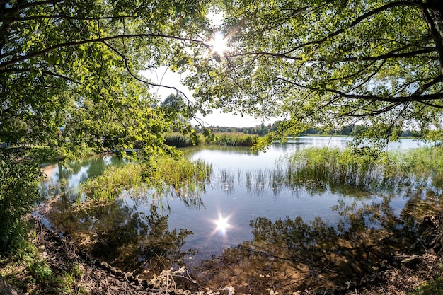 Panorama no enorme lago ou rio com reflexão de manhã com lindo nascer do sol rosa incrível