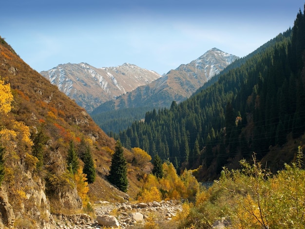 Panorama de otoño de las montañas