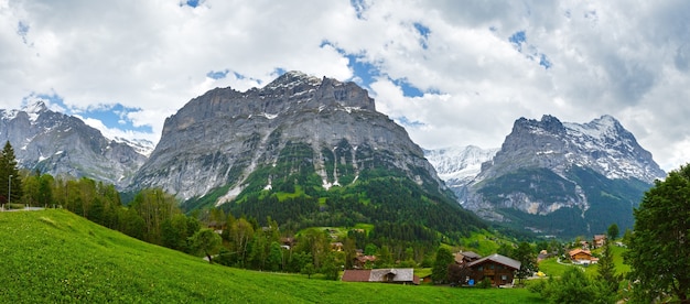 Panorama del país de montaña de verano con nieve en la cima de una roca (Suiza)