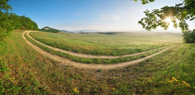 Panorama del paisaje. Composición de la naturaleza.