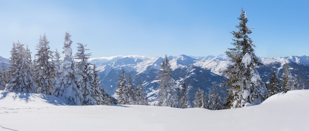 Panorama del paisaje invernal con árboles de nieve y montañas de invierno, montañas de los Alpes, Austria