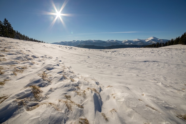 Panorama del paisaje de invierno con colinas nevadas, montañas blancas distantes, bosque oscuro y cielo azul claro con sol brillante.