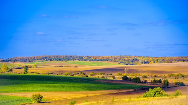 Foto panorama de un paisaje montañoso con cielo y nubes en otoño