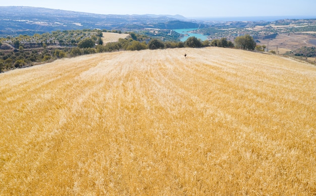 Panorama del paisaje rural de Chipre con campo agrícola de cultivos mixtos, forrajes para el ganado