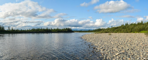 Panorama Paisaje de verano del río del norte