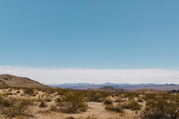 panorama del paisaje