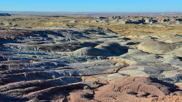 Foto panorama paisajístico de arcilla multicolor erosiva en el parque nacional del bosque petrificado de arizona