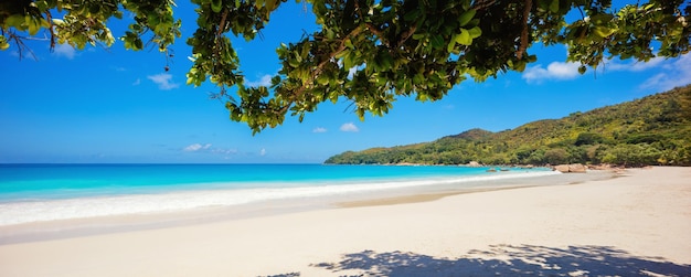 Panorama de palmeras y playas tropicales Playa de Anse Lazio en la isla de Praslin Seychelles