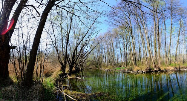 Foto el panorama del páramo