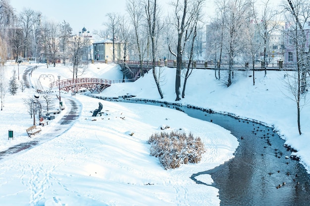 Panorama de un parque nevado de la ciudad con un río y un puente