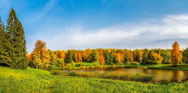 Panorama del parque de otoño con árboles rojos por el lago Pavlovsk Rusia