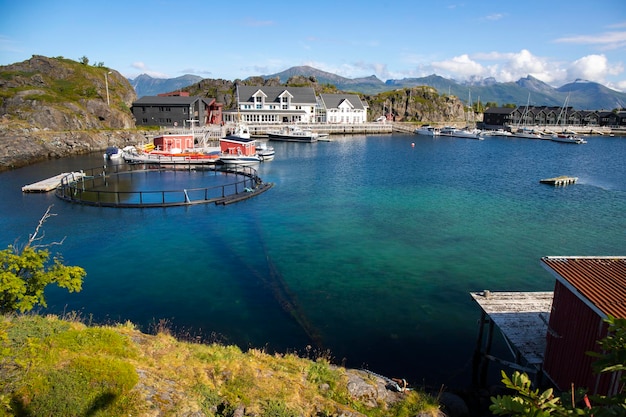 panorama de un pequeño pueblo con un puerto deportivo en las islas lofoten en noruega, los fiordos noruegos