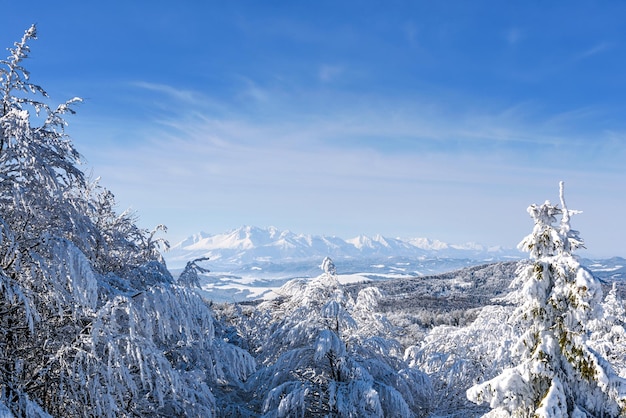 Panorama pintoresco y escénico de las montañas de invierno en un día soleado en el fondo del cielo azul