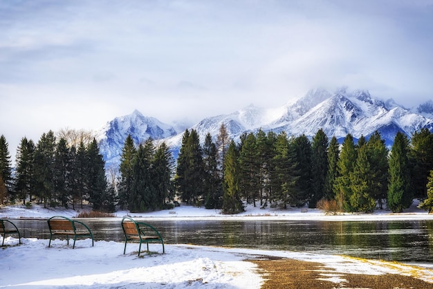 Panorama pitoresco de inverno do lago nas montanhas Tatras com bancos na costa