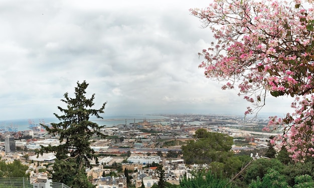 Panorama de primavera de la bahía de Haifa Israel