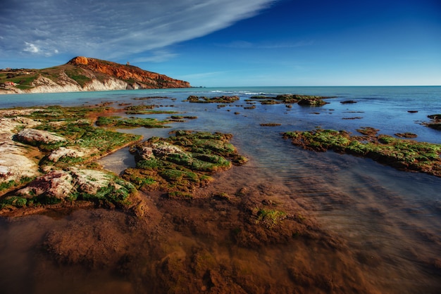 Panorama de primavera de la costa del mar