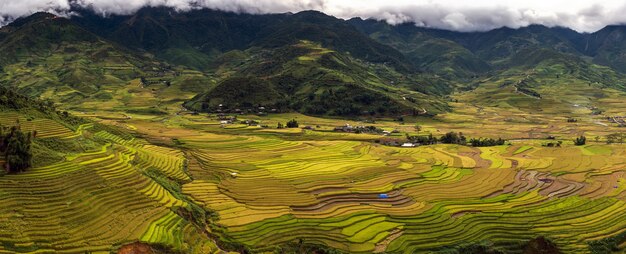 Panorama desde el punto de vista superior que puede ver campos de arroz en terrazas