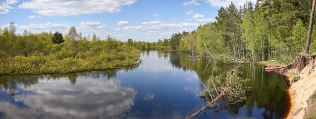 Panorama del río de primavera