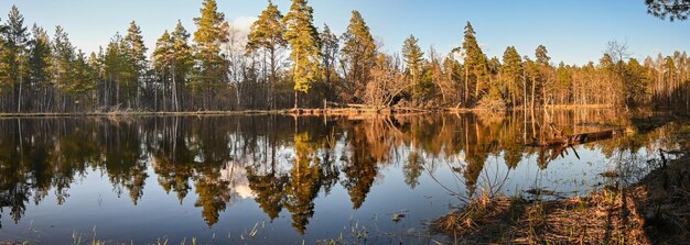 Panorama del río de primavera