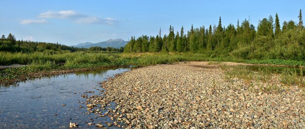 Panorama del río taiga en el Parque Nacional