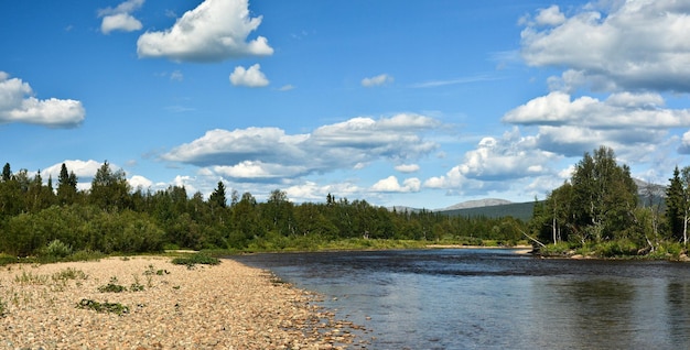 Panorama del río taiga en el Parque Nacional