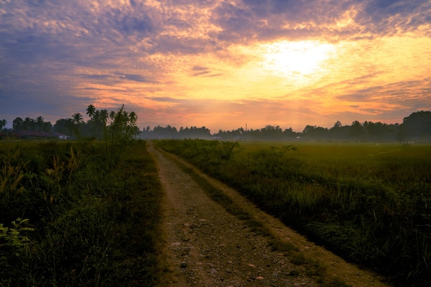 Panorama rural del amanecer con carretera