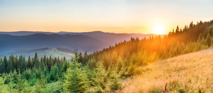 Panorama-Sonnenuntergang in den Bergen mit Wald und großer strahlender Sonne am dramatischen Himmel
