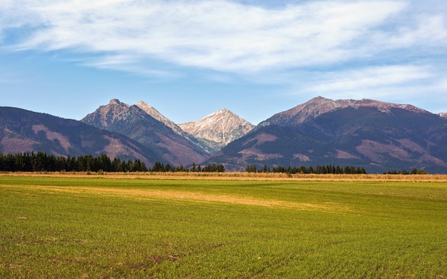 Panorama de los Tatras occidentales (picos de Klin y Bystra), campo con hierba en primer plano