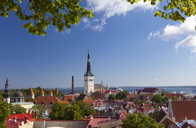 panorama Telhados da cidade velha. Tallinn. Estônia.