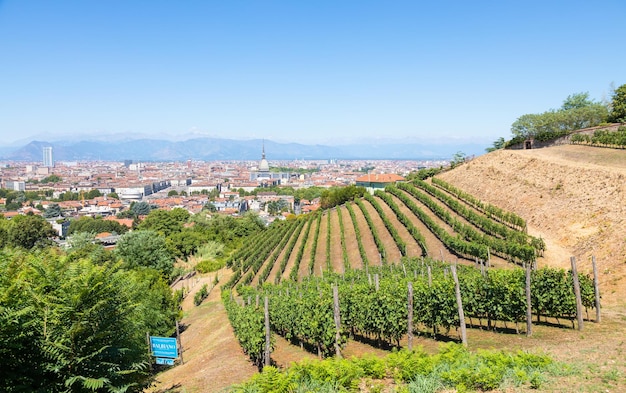 Panorama de Turín Italia con el viñedo del monumento de Mole Antonelliana y las montañas de los Alpes