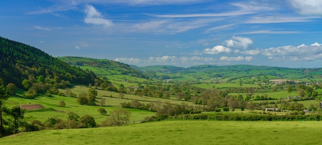 Panorama über typisches englisches oder walisisches Bauernland