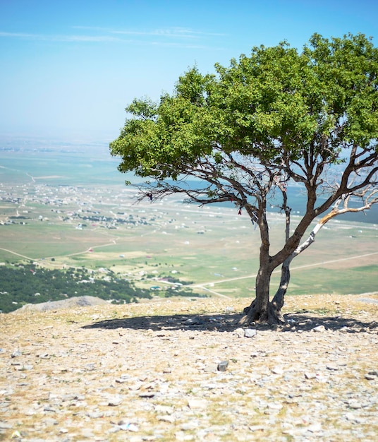 Panorama de la vasta estepa en las montañas