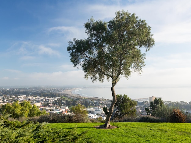 Panorama de Ventura desde Grant Park