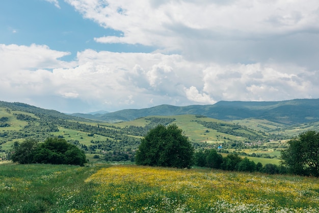 Foto panorama de verano de las montañas de los cárpatos