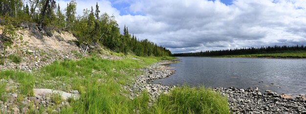 Panorama de verano del río taiga del norte