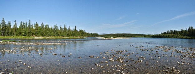 Panorama de verano del río taiga en los Urales polares