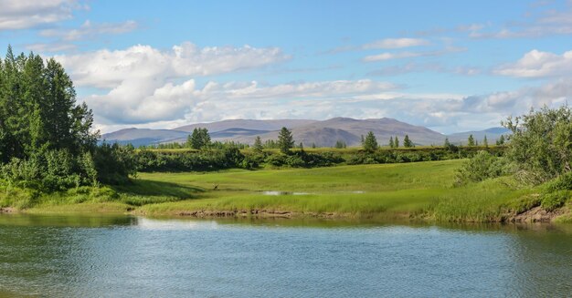 Panorama de verano del río en Yamal