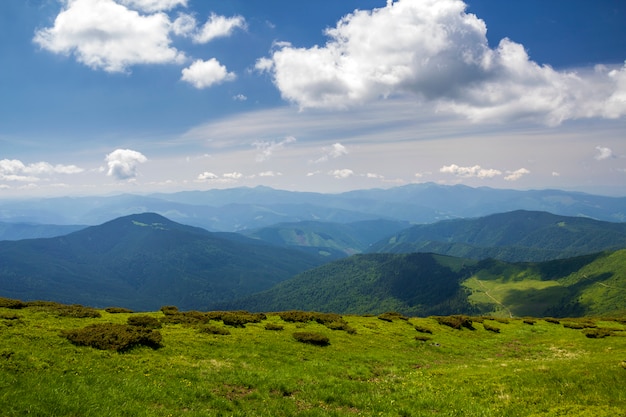 Panorama verde das montanhas sob o céu azul no dia ensolarado brilhante. Turismo e conceito de viagem, cópia espaço.