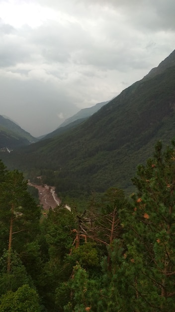 Panorama de las verdes montañas del Cáucaso