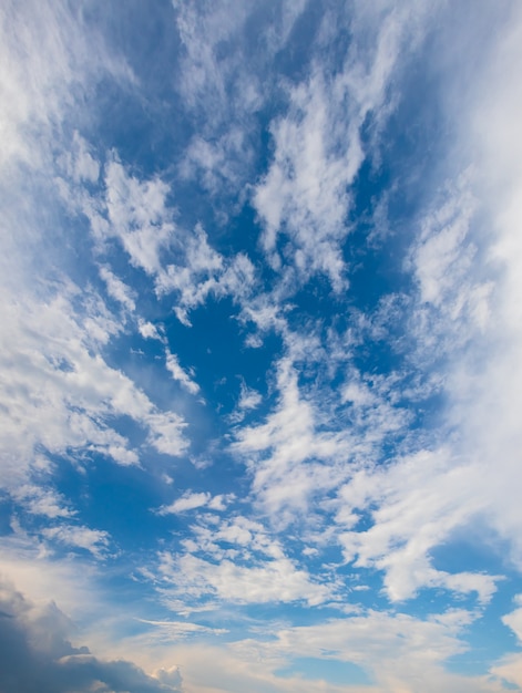 Panorama vertical de cielo azul con nubes blancas