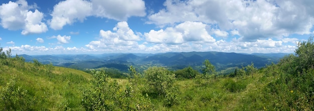 Panorama de la vista a la montaña en verano.